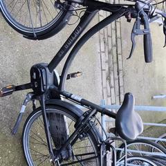 Bici da donna Cortina, come riportato da Stadswerk072 utilizzando iLost