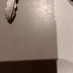 Sleutel, zoals gemeld door De Efteling met iLost