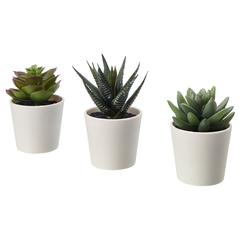 منتج ايكيا، كما تم الإبلاغ عنه بواسطة IKEA Mulhouse عبر iLost
