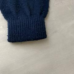 Handske Donkerblauw, rapporterat av Arriva Friesland / Groningen med iLost