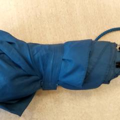 مظلة Blauw، كما تم الإبلاغ عنه بواسطة Centraal magazijn عبر iLost