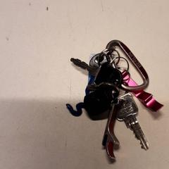 Klíče, jak nahlášeno Qbuzz ZHN pomocí iLost