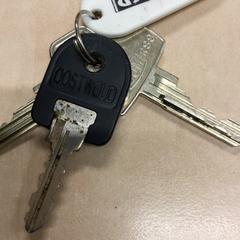 Nøkkel, som rapportert av Haaglanden Medisch Centrum ved bruk av iLost