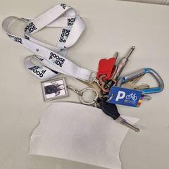 Kulcstartó, amint azt Transdev Gooi en Vechtstreek az iLost segítségével jelentette.