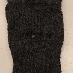 Handschoen, iLost를 사용하여 Het Amsterdamse Winterparadijs에 보고됨