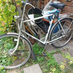 fiets, som rapporterats till iLost