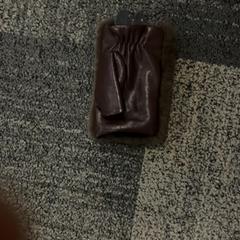 Glove Bruin, as reported by Jaarbeurs using iLost