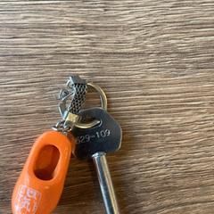 Llave, ha sido reportado por MEININGER Hotel Marseille Centre la Joliette con iLost