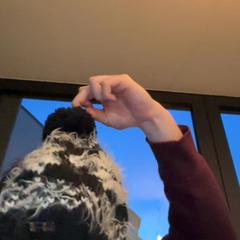 Txapela, gisa salatu by Regio Limburg - Leuven iLost erabiliz