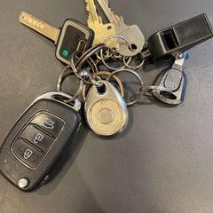 Klucze, zgłoszono przez Politiezone Rivierenland przy użyciu iLost