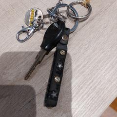 Sleutelbos, segons ha informat RRReis Trein Amersfoort / Ede-Wageningen mitjançant iLost