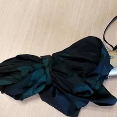 우산, iLost를 사용하여 Regio Limburg - Leuven에 보고됨