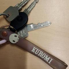 Sleutels, zoals gemeld door RET met iLost