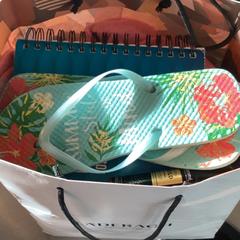 Handbag, Flip flops & Pajamas, as reported by MEININGER Hotel Heidelberg Hauptbahnhof using iLost