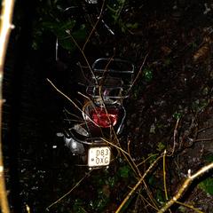 Scooter, jak zgłoszono do iLost