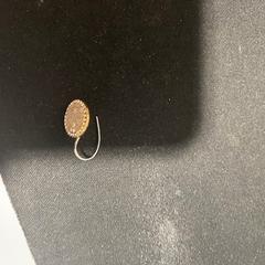 Arracades, segons ha informat TU/e - Receptie Atlas mitjançant iLost