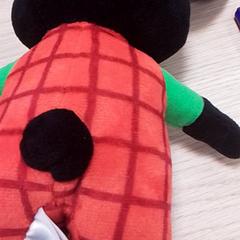 Peluche, come riportato da Qbuzz Fryslân utilizzando iLost