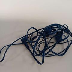 Oortje blauw, zoals gemeld door HU Amersfoort met iLost