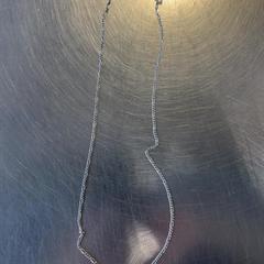 Necklace, as reported by Burgers' Zoo using iLost