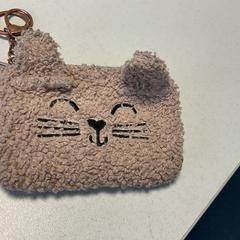 Etuitje, zgłoszono przez Breng Arnhem przy użyciu iLost