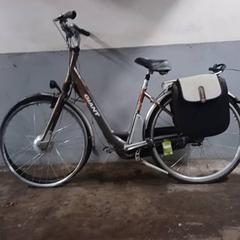 Kvinners sykkel Giant - E-Bike Brons-Grijs-Witte leters, som rapportert av Fietsdepot Hasselt ved bruk av iLost