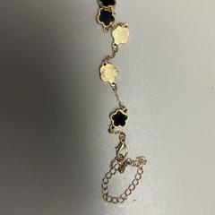 Bracelet, as reported by Burgers' Zoo using iLost