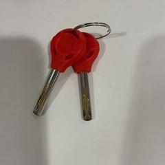 Chiavi della bicicletta red, come riportato da TU/e - Receptie Atlas utilizzando iLost