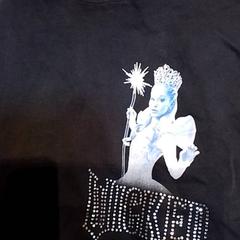 셔츠, iLost를 사용하여 Beekse Bergen Resorts en Hotel에 보고됨