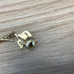 Orecchino, come riportato da Diakonessenhuis Utrecht utilizzando iLost