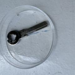 Sleutel, som rapporterats till iLost