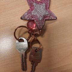 Sleutel bos, iLost-i jakinarazi zaion moduan