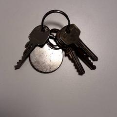Key, as reported by Diergaarde Blijdorp using iLost