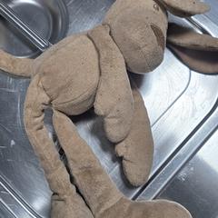 Knuffelhondje Zeeman, jak zgłoszono do iLost