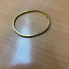 ブレスレット がiLostで Gemeente Zutphen によって報告されました