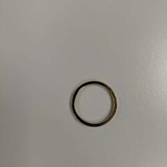 Prsten 4 maart - goudkleurig, jak nahlášeno Padualaan 101 pomocí iLost