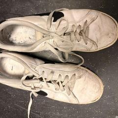 Bota, jak nahlášeno Ramada by Wyndham Amsterdam Airport Schiphol pomocí iLost