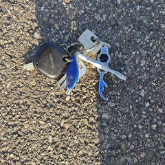 Sleutelbos, gerapporteerd met iLost