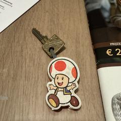 Paddestoel sleutel Lindenholt, iLost에 보고됨