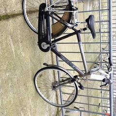 Bici da uomo Giant, come riportato da Stadswerk072 utilizzando iLost