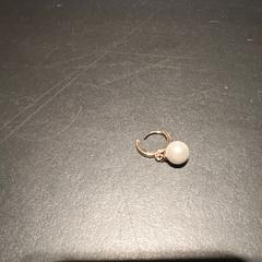 Oorbel, som rapportert av Van der Valk Hotel Houten ved bruk av iLost