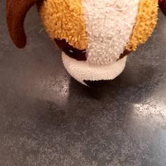 Knuffel, como reportado por Rotterdam The Hague Airport utilizando o iLost