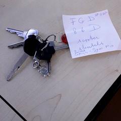 Sleutelbos, a été signalé par LUMC utilisant iLost