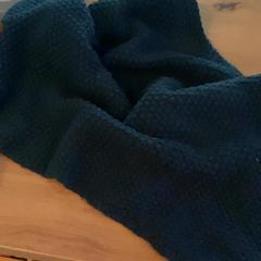 Šál shal, ako bolo nahlásené MEININGER Hotel Köln West pomocou iLost