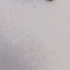 Gafas de sol, ha sido reportado por De Efteling con iLost