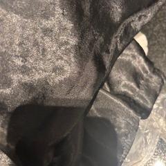 Kudde, rapporterat av Hotel Van der Valk Harderwijk op de Veluwe med iLost