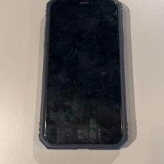Iphone, zoals gemeld door Familiepark Drievliet met iLost