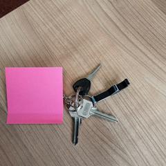 Sleutelbos, som rapportert av Arriva West-Brabant ved bruk av iLost