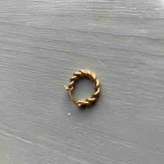 القرط Goud، كما تم الإبلاغ عنه بواسطة Gemeente Beekdaelen عبر iLost