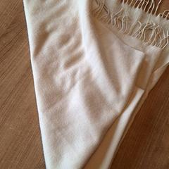 ショール がiLostで Qbuzz DMG によって報告されました