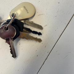 キーホルダー がiLostで GVB によって報告されました